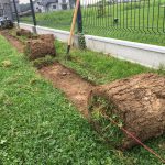 wycinarka do darni jak ukształtować teren usunięcie starej trawy przygotowanie terenu sadzenie drzew rolki trawy ogrody
