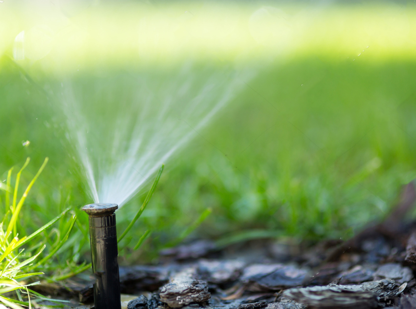 stock-photo-irrigation-system-in-function-648547840